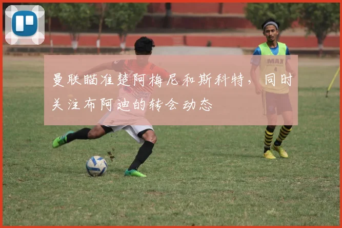 曼联瞄准楚阿梅尼和斯科特，同时关注布阿迪的转会动态